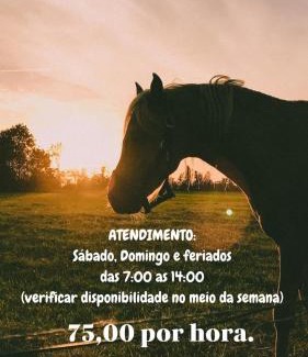 Corrego do Bom Jesus House | Chalé Mirante Da Colina 9, com hidromassagem privativa, café da manhã e piscina