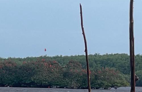 Santo Amaro do Maranhao House | Chalé Murici Lençóis