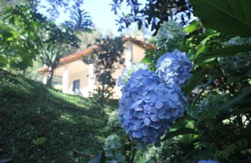 Ouro Preto Cabin | Chalé na floresta com varanda