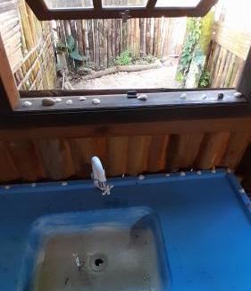 Nova Nazare House | Chalé Rústico