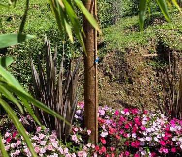 Goncalves Cabin | Chalé Som da Sete Quedas Hidromassagem, Lareira e Vista para as Montanhas