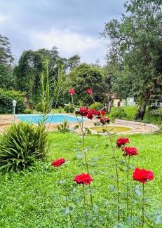 Maringa Cabin | Chalé vista da piscina 8