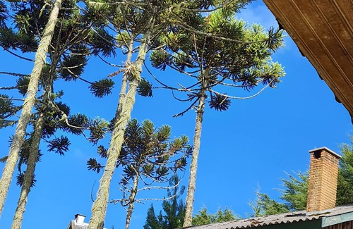 Campos do Jordao Ski Chalet | Chalés Valle do Sol