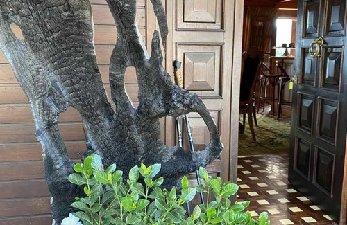 Amfissa Ski Chalet | Chalet Aselinos