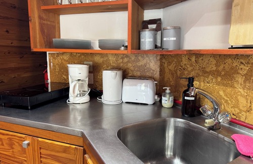 Mittlach Apartment | Chalet BomBom - Cozy cocoon with pond view in Mittlach