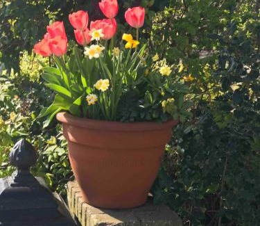 Municipality of Oegstgeest Ski Chalet | Chalet Buitenhof 45A