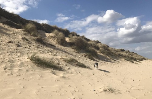 Winterton-on-Sea Ski Chalet | Chalet by the beach. Peaceful setting. Pets stay free.