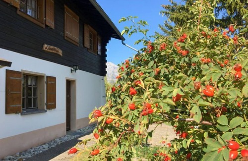 Mayens-de-Riddes House | Chalet Chante Neige by Interhome