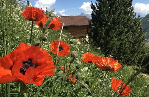 Mayens-de-Riddes Cottage | Chalet Clochette 4 Valles - Verbier