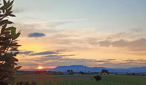 Cullar Vega Villa | Chalet con piscina y jardín, no fumadores ni fiestas