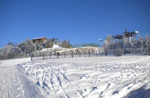Plainfaing House | Chalet cosy proche de Gérardmer et Colmar - Nature, WIFI, 2 chambres, terrasse, garage - FR-1-589-306