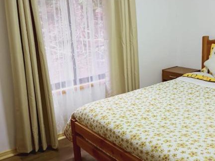 Panguipulli Ski Chalet | Chalet de montaña en Coñaripe Sector Termas Geométricas "La Escondida"