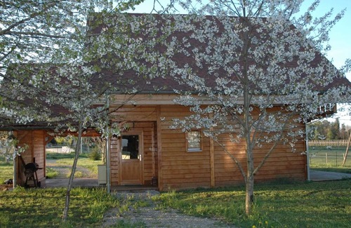 Louchy-Montfand Cottage | Chalet familial avec piscine, cheminée et jardin boisé au cœur des vignobles de St Pourçain