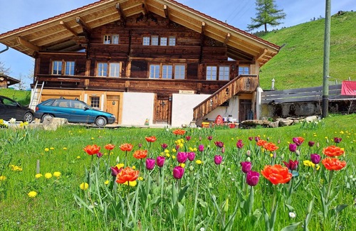 Horboden Ski Chalet | Chalet Grittelihus near Interlaken, in a natural paradise