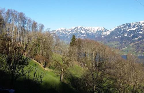 Giswil House | Chalet Hüsli