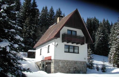 Nove Hamry Ski Chalet | Chalet Helena