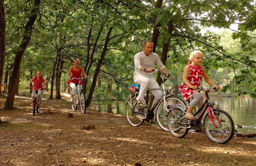 Municipality of Geldrop-Mierlo Ski Chalet | Chalet in Eindhoven near Bospark 't Wolfsven