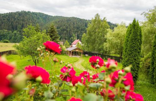 Lunca Bradului Ski Chalet | Chalet M