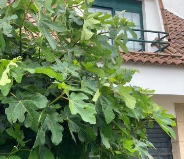 San Vicente do Grove House | Chalet Monte da Garda