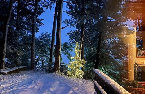 Borca di Cadore Ski Chalet | Chalet nestled in the woods a few minutes from Cortina d 'Ampezzo
