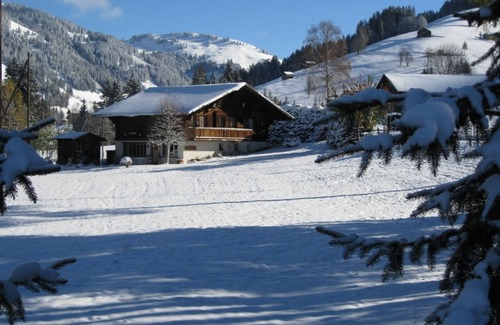 Gstaad Apartment | Chalet Nyati by Interhome