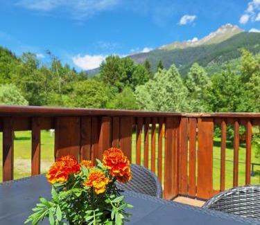 Temu Apartment | Chalet Presanella