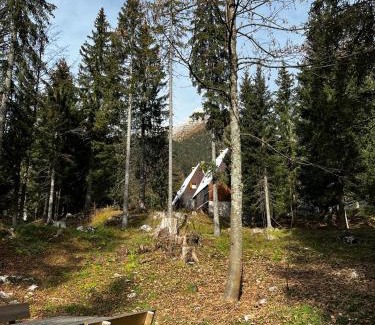 Sella Nevea Ski Chalet | ~Chalet Rifugio tra i boschi~