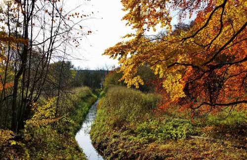 Wendorf House | Chalet, Wendorf