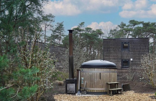 Beekbergen-Zuid House | Chalet with 3 bedrooms and a terrace