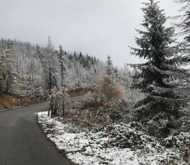 Vitomiricë Ski Chalet | challet Lordi