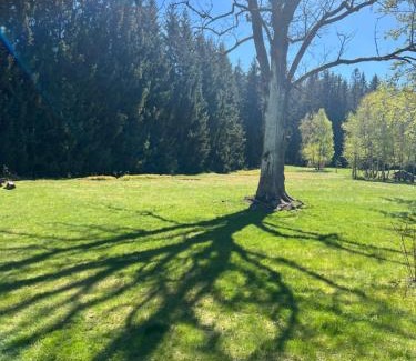 Josefov Dul House | Chalupa Maxov