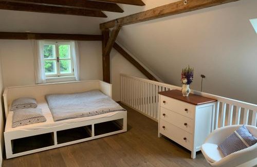 Borova Lada Apartment | Chalupa Nový Svět na Šumavě