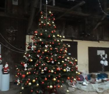 Magstatt-le-Bas House | Chambres d'hôtes chez Loulou et Caramel