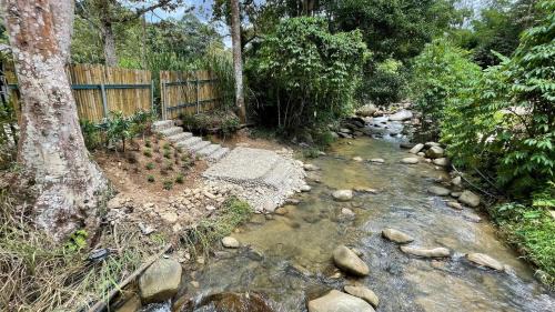 Bentong House | Charis Pool Villa 1 - 3 Bedroom with Private Pool