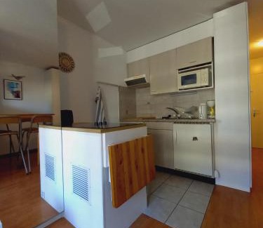 Vionnaz Apartment | Charmant 1.5 pièce à la montagne