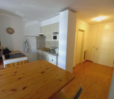 Vionnaz Apartment | Charmant 1.5 pièce à la montagne