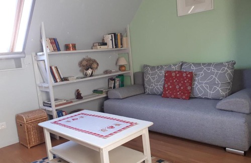 Berstett Apartment | Charmant appartement près de Berstett - 42 m² avec jardin