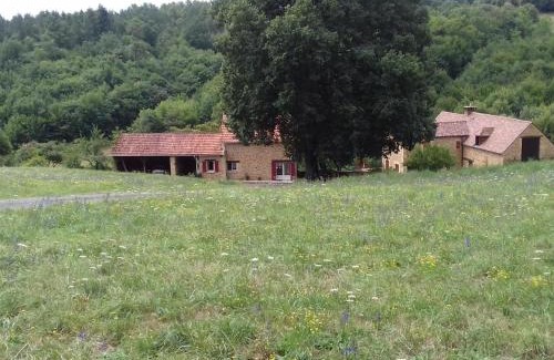 Saint-Vincent-le-Paluel House | Charmante maison indépendante avec jardin, proche de Sarlat, Dordogne, idéale pour 6 personnes - FR-1-616-44