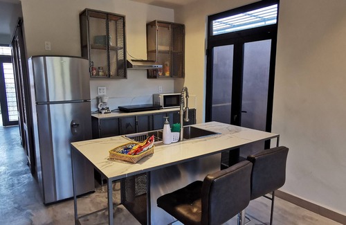 Monterrey Municipality Apartment | Charming 1-bedroom apartment in Monterrey with AC