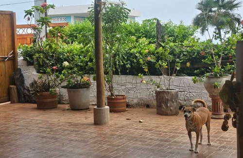 Dibulla House | Charming 2-bedroom house with WiFi, AC in Dibulla, ocean view.