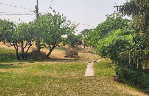 Payette House | Charming 2-bedroom one bath house in marvelous Payette, with city views AC, WiFi