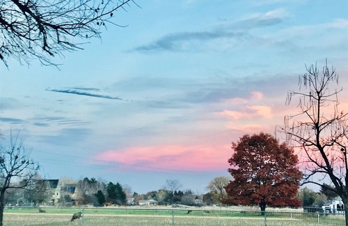 Newlands House | Charming 3-bedroom house centrally located w/WiFi and AC in delightful Boulder