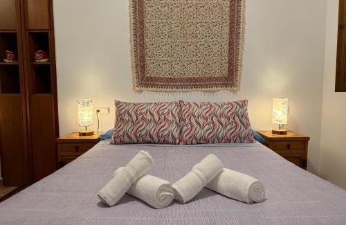 Sacromonte Apartment | Charming Albaicin Patio Flat Free onsite parking