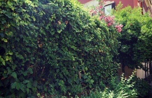 Aventine Apartment | Charming apartment in 1930s villa in quiet, central, green area.