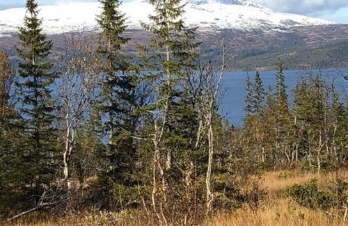 Meraker Apartment | Charming apartment in Meråker