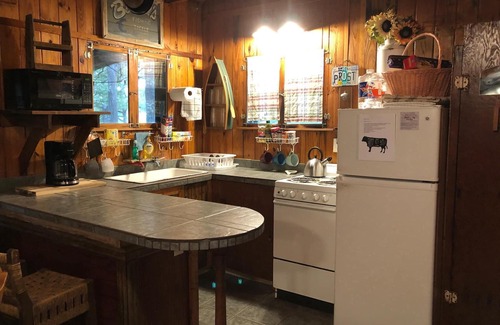 New Braunfels Cabin | Charming cabin on Lake Dunlap