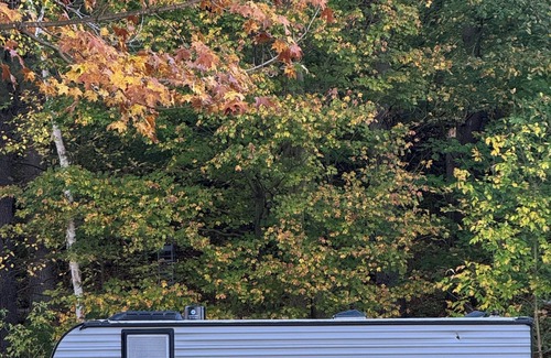 Knapp Cabin | Charming Camper in fabulous Knapp WI