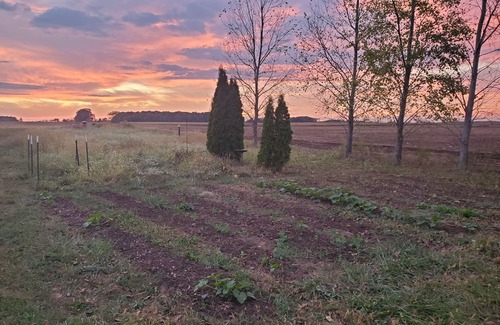East Liberty RV Rental | Charming campground in Belle Center with WiFi access