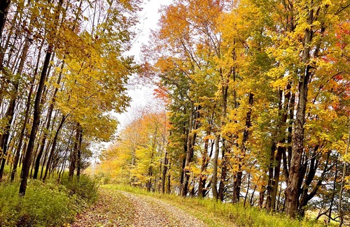 Hartwick RV Rental | Charming Campsite in Hartwick, NY few miles from Cooperstown & area attractions