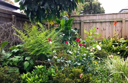 New Plymouth Cottage | Charming Cottage Near Pukekura Park